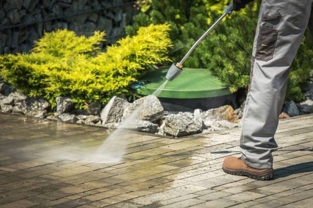 Best Solar Panel Cleaning  in Southwest Ranches, FL